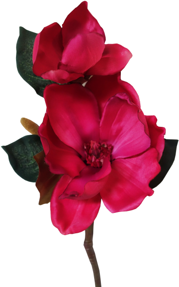 43cm Magnolia With Bud - Artificial Flower (800x600)