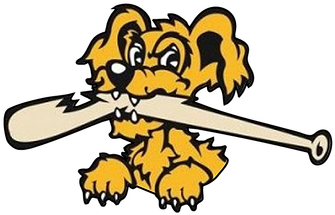 We Are - Charleston Riverdogs (416x414)