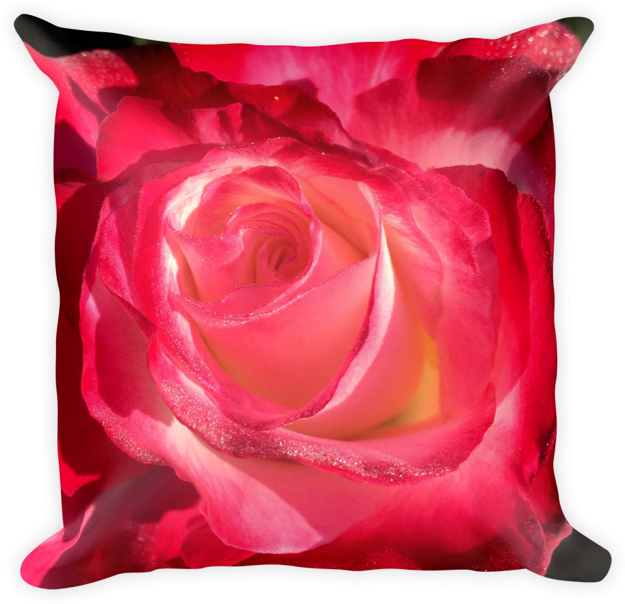 Image Of Rose Bud Pillow - Image Of Rose Bud Pillow (1000x1000)