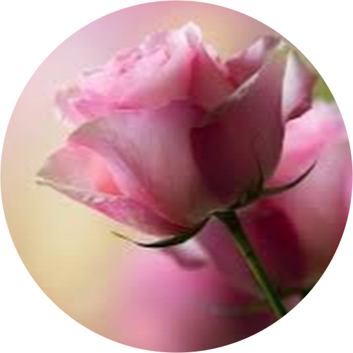 Have A Beautiful Day (512x512)