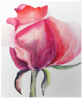 Watercolor Painting Of Flower Rose (400x400)