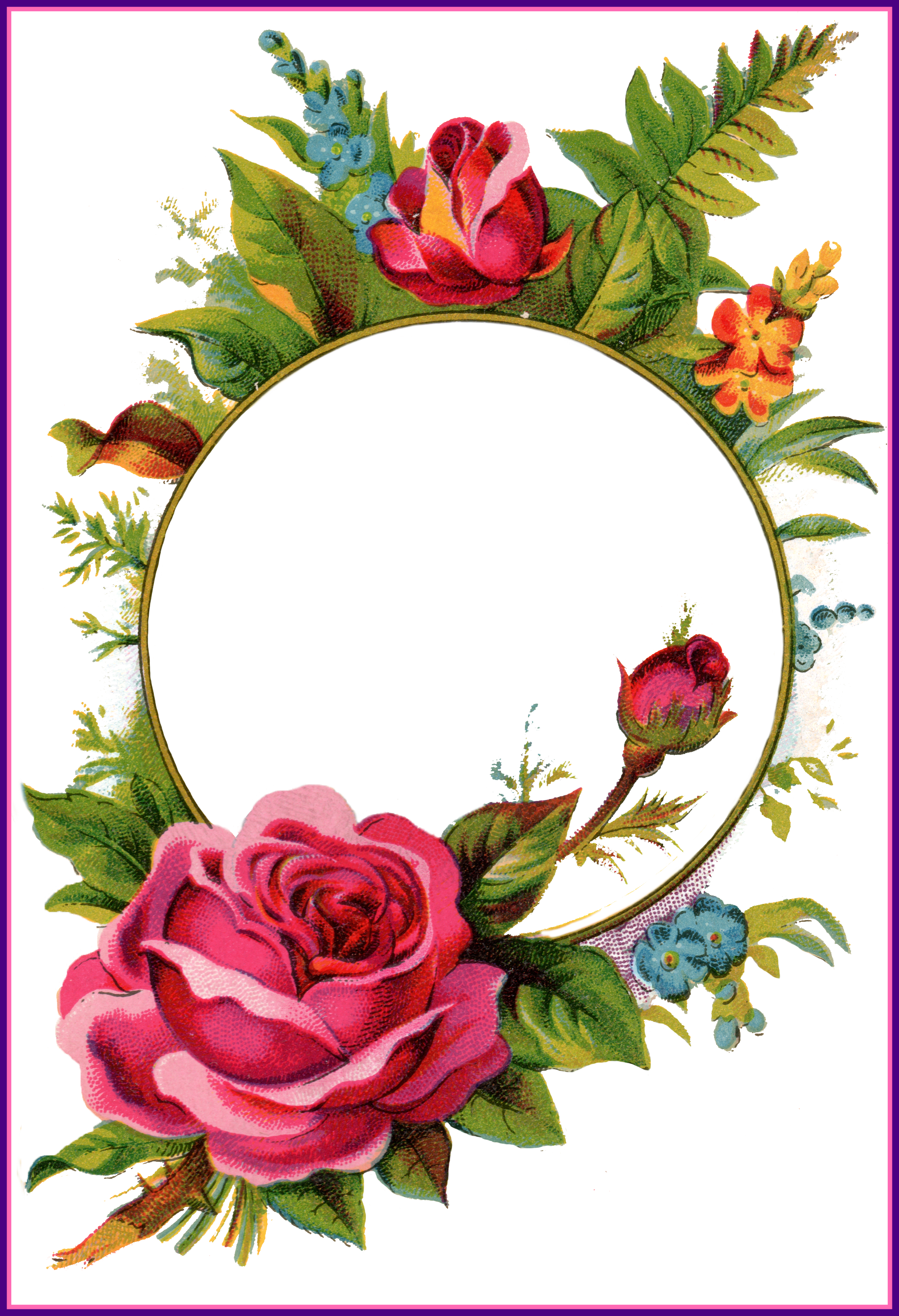 Rose Flower Rose Flower Frame Best Pix For U Vintage - Png Rose Frame (2012x2945)