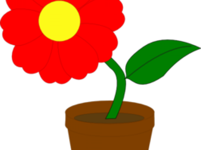 Pot Plant Clipart 1 Flower - Flower In A Pot (640x480)