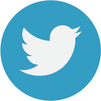 Icon-twitter@3x - Twitter Share Button (352x351)