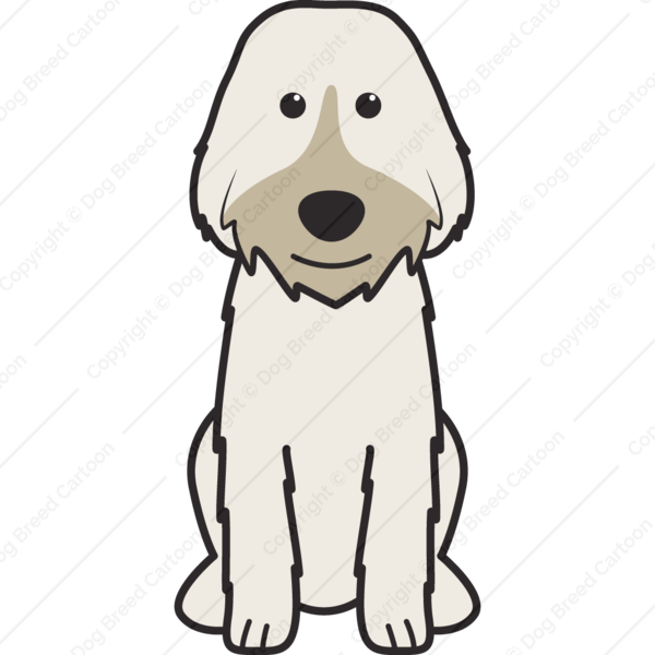 Special Edition - English Springer Spaniel Cartoon (600x600)