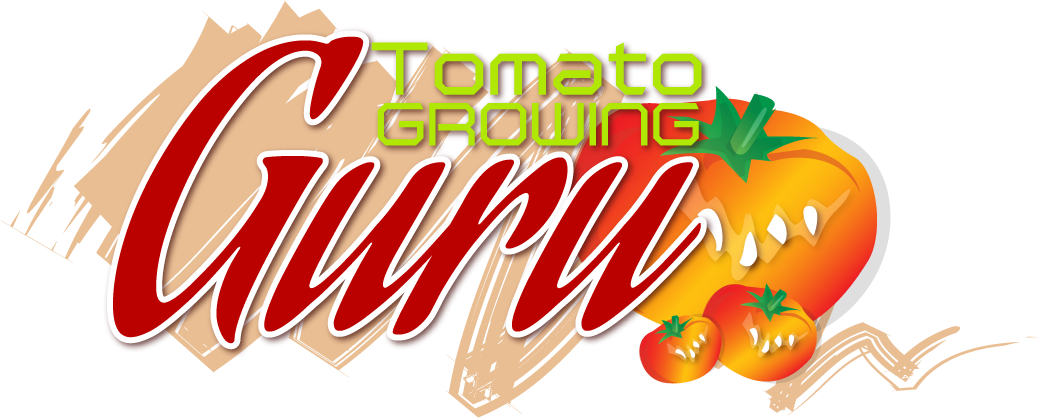 Tomato Growing Guru - Tomato Growing Guru (1038x418)