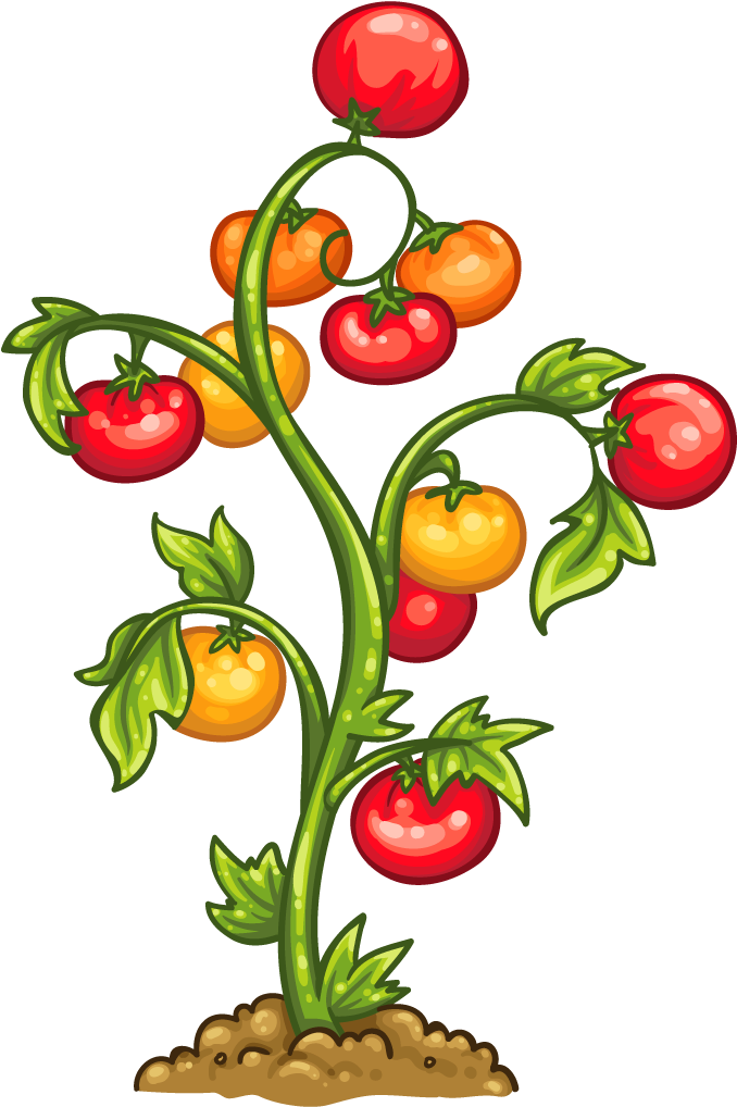 Pool Clip Art Rh Geostat2010 Info - Tomato Plant Png (1024x1024)