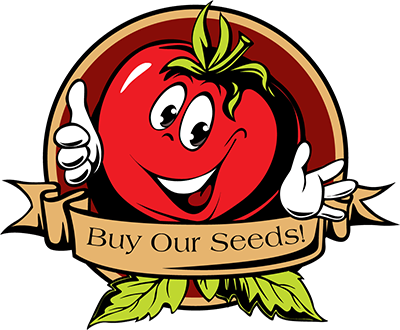 New Online Store - Tomato Summer Cartoon (400x330)