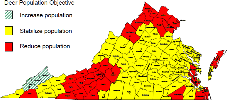 In 2006, Deer Populations On Private Lands Were Below - Graphic Design (780x358)