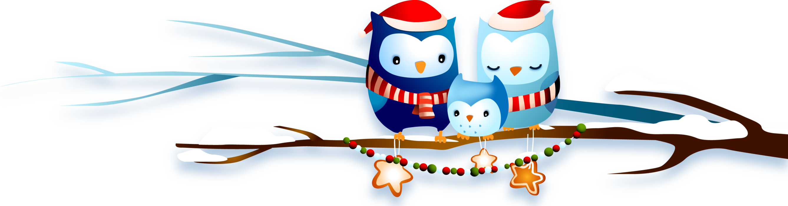 Family Of Owls On A Branch Celebrating Christmas - Natal (2675x700)