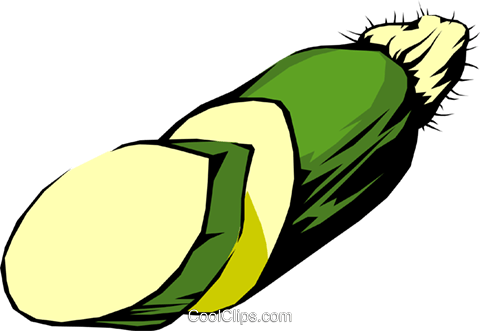 Zucchini Squash Royalty Free Vector Clip Art Illustration - Clip Art (480x331)