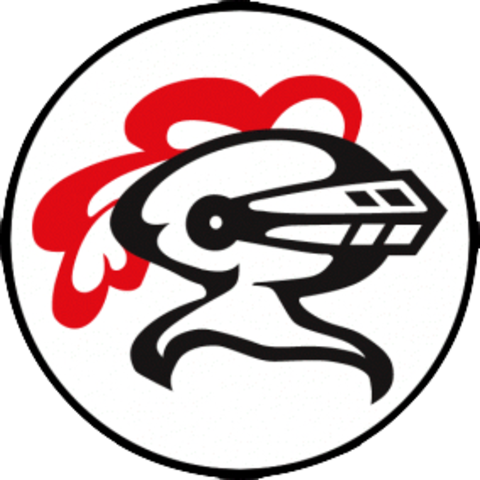 Lincoln-way Central Logo - Lincoln Way Central Knights (480x480)
