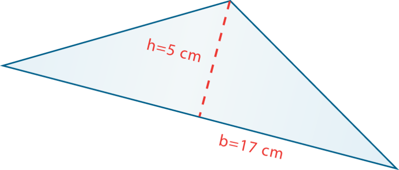 Notice That The Height Is Shown By The Dashed Line - Notice That The Height Is Shown By The Dashed Line (800x342)