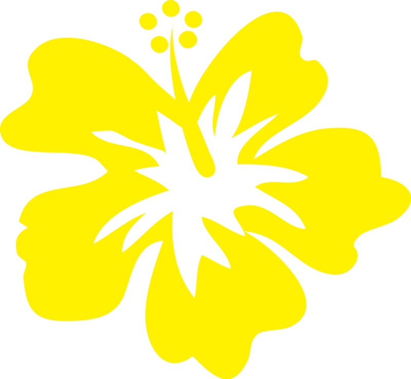 Cg050 28 - Flor Luau Png (800x738)