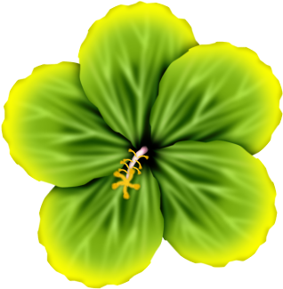 Praia E Piscina - Flower (400x404)