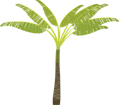 Palm Tree Palm Leaves Plant Tree Jungle Pa - Palm Tree Business Cards (385x340)
