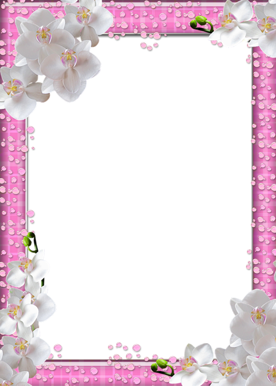 White Frame Png - Pink Flowers Frames Png (910x1274)