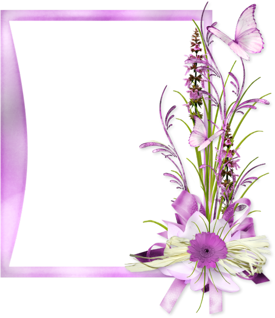 Sympathy Cards, Flower Backgrounds, Belles Choses, - Dendrobium (600x652)