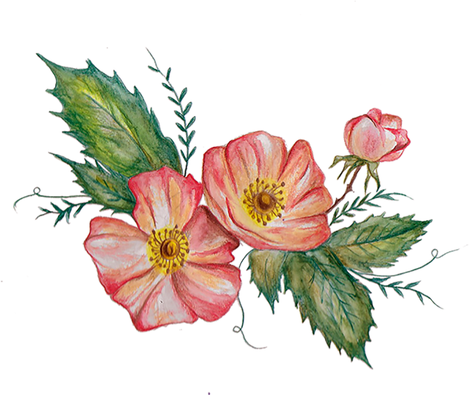 The Hand-drawn Flower And Vine Elements Of This Design - The Hand-drawn Flower And Vine Elements Of This Design (1000x783)