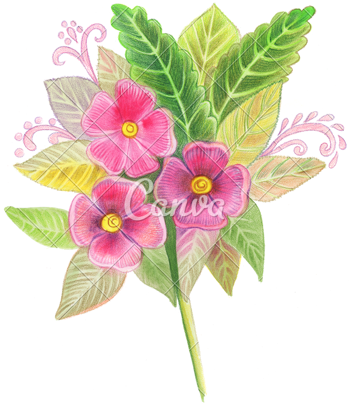 Hand Drawn Colored Pencils Of Red Flowers - Periwinkle (693x800)