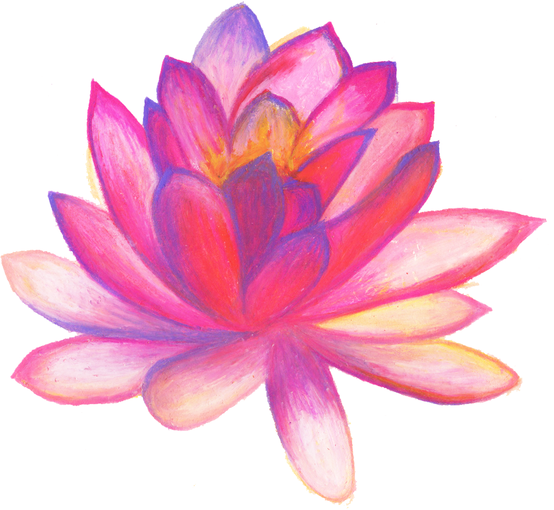 Hand Drawn Flower - Drawn Flowers (2004x1824)