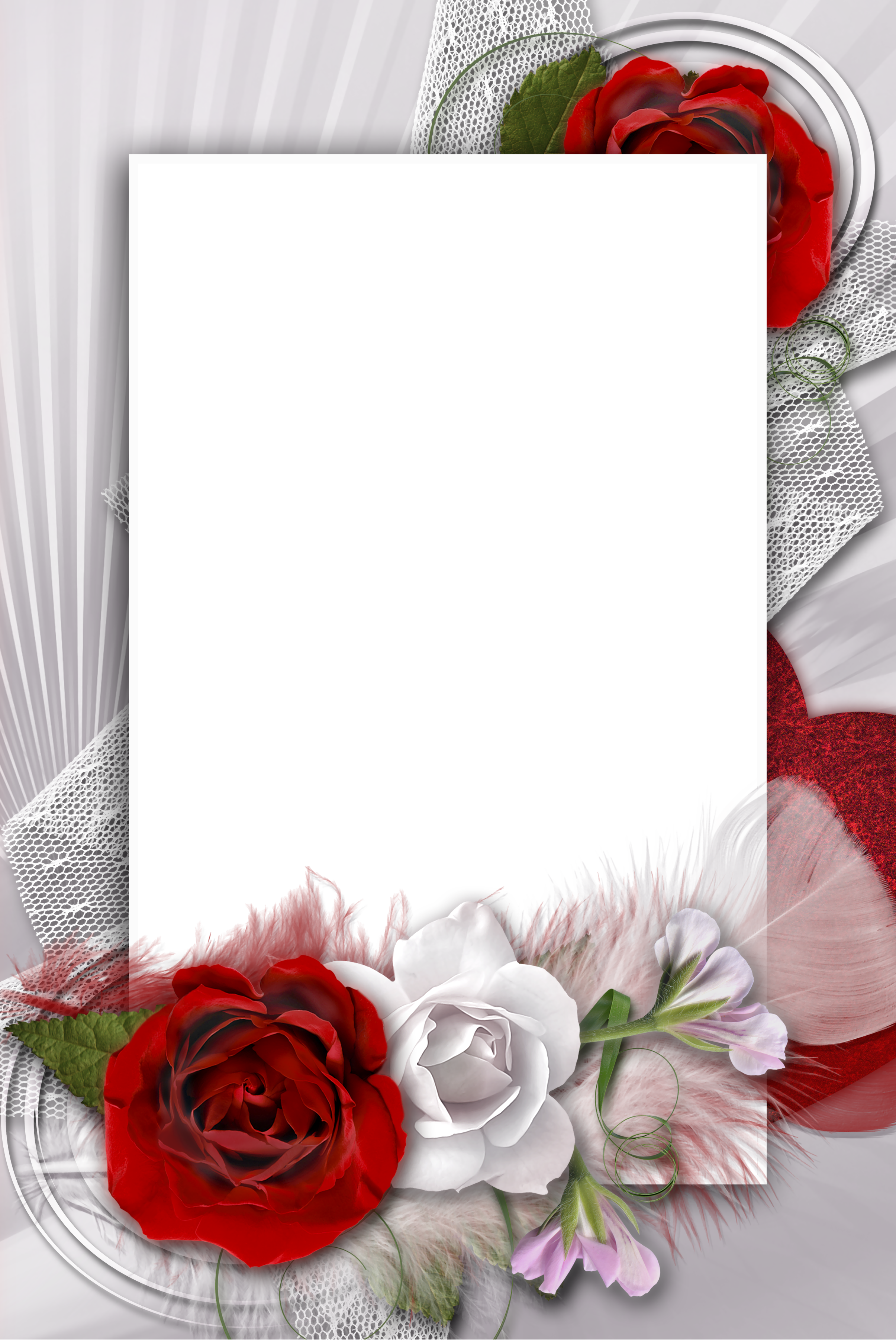 Transparent Romantic Frame With White And Red Rose - Red Rose Frame Transparent (2410x3606)