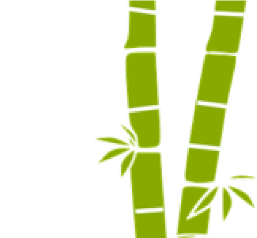Bamboo Clipart Divider - Bamboo Png (640x480)