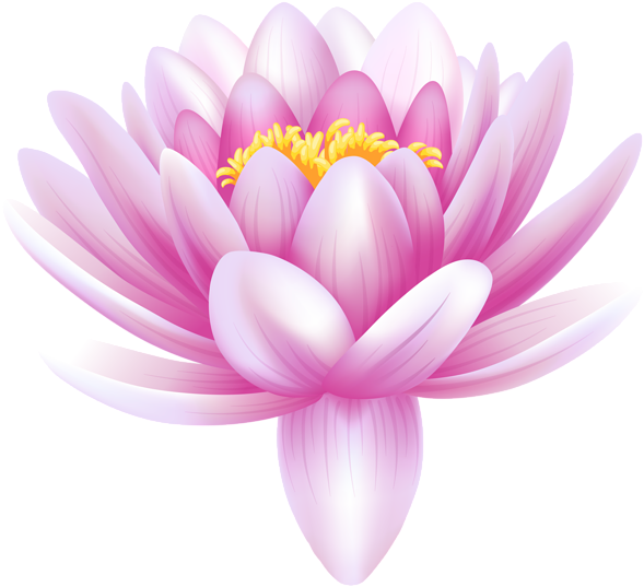 Hand Drawing Water Lily, Lotus, Flower - Water Lily Flower Png (600x546)