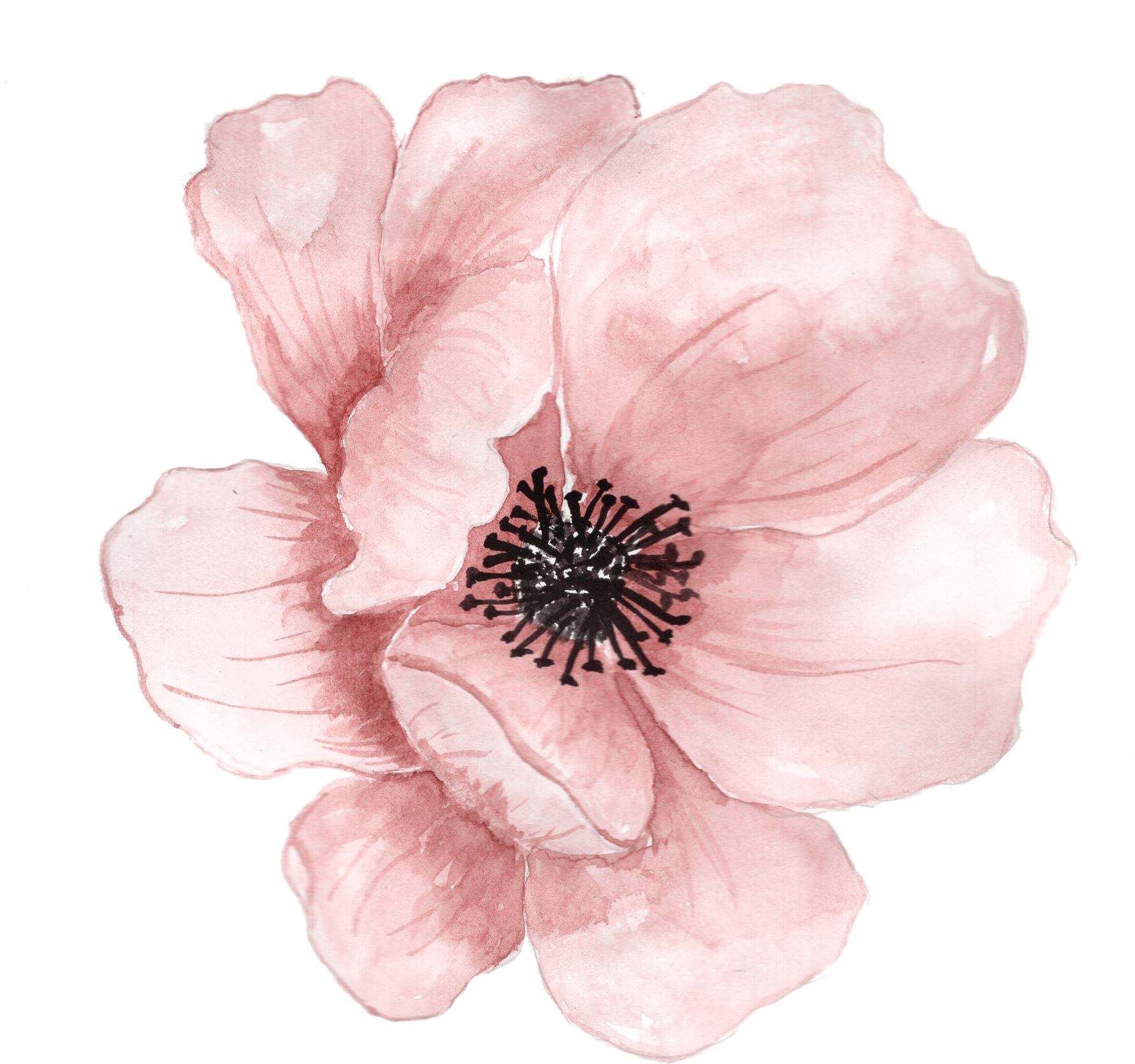 Flower Watercolor Painting Clip Art - Pink Flower Png (1780x1684)