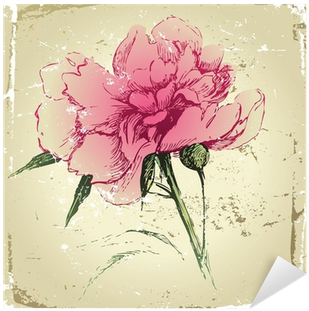 Retro-styled Hand Drawn Peony Flower Sticker • Pixers® - Peony (400x400)