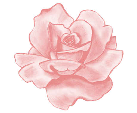 Download - Beautiful Flower Drawing (480x380)