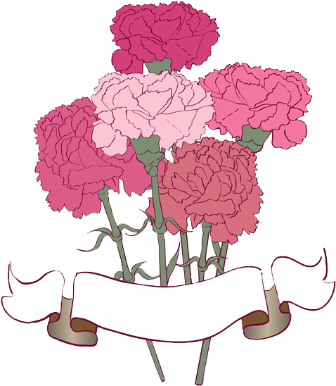 The Green Carnation Drawing Flower Bouquet - Hand Drawn Carnations (600x600)