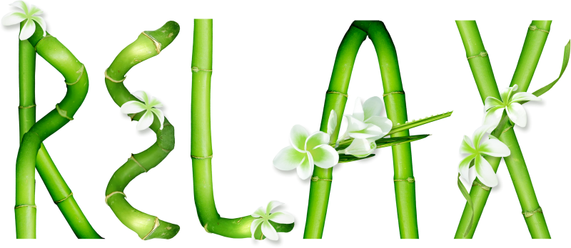 Bamboo Zen & Spa - Transparent Png Mervelleux (800x348)