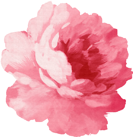 Buscar Con Google - Flower Stickers Png (500x517)