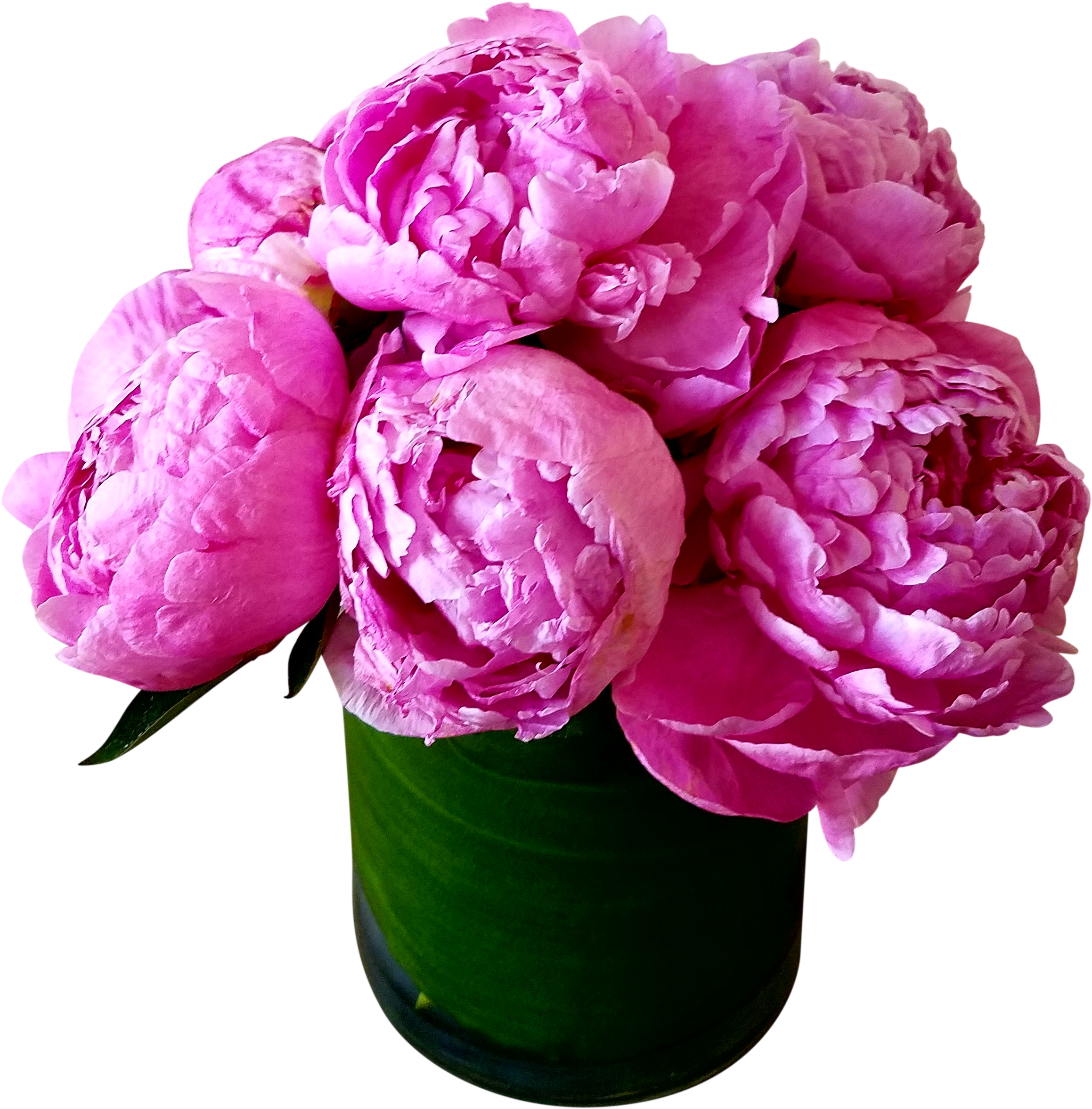 Hot Peonies - Flowers Peonies Happy Birthday (2552x2659)