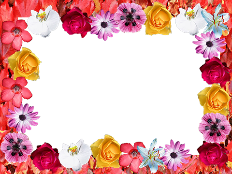 Frame Of Pretty Hand Drawn Flowers Vector Free - Garden Roses (480x360)