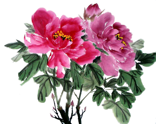 Peonies - 水墨畫 花 (500x397)