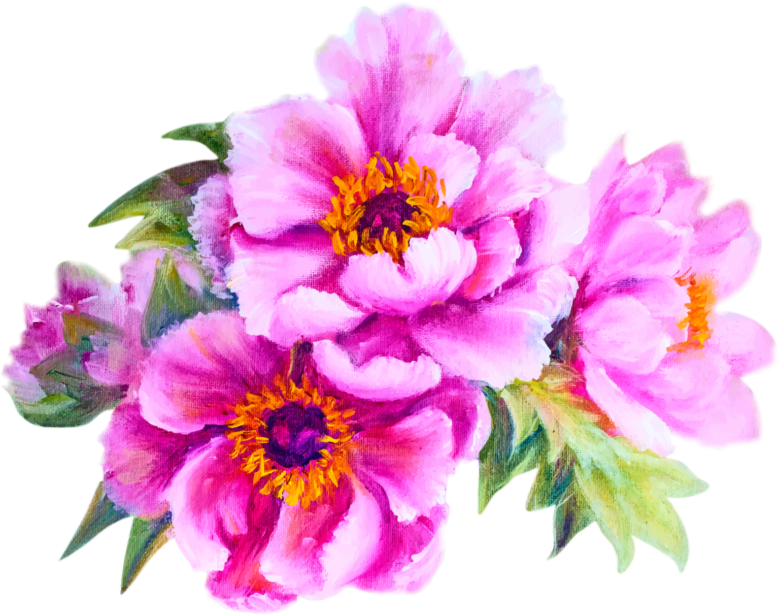Flower Peony Stock Photography Illustration - Life Is About Balance Good Morning (1920x1600)