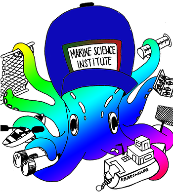 Grant Opportunities - Grant Opportunities (349x397)