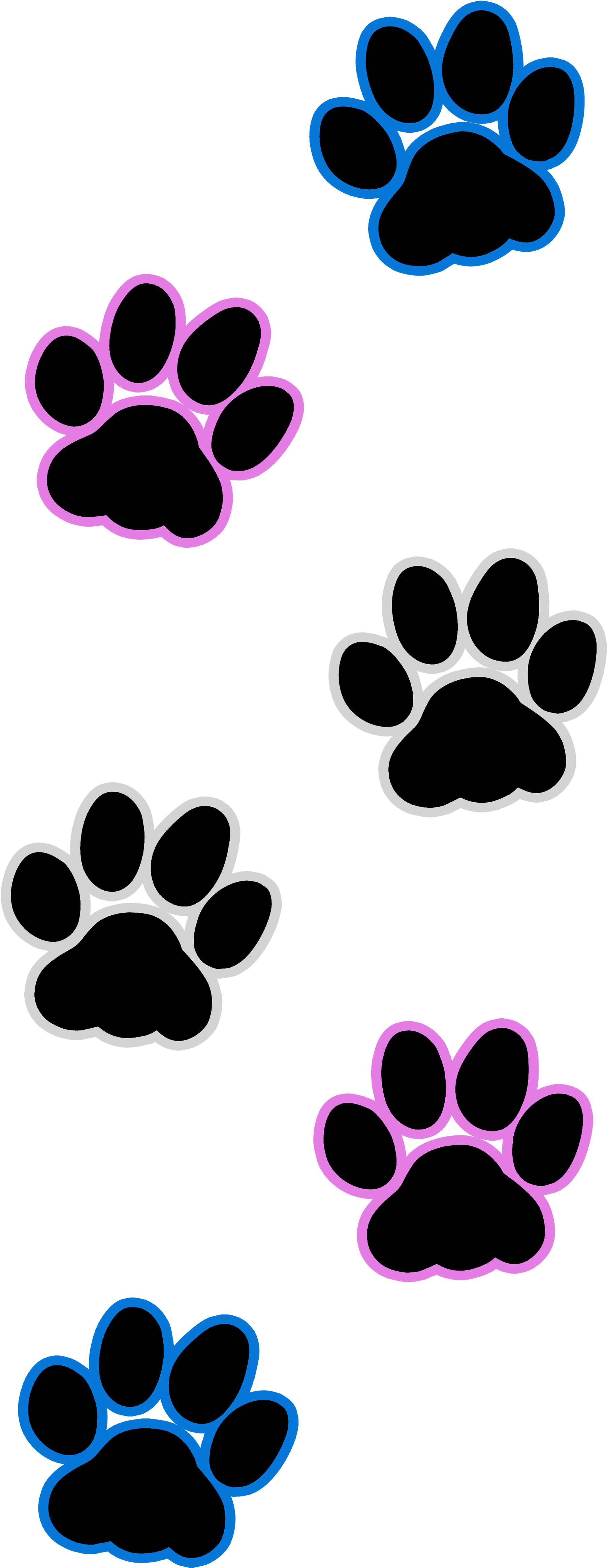 Cat Paw Print Transexual - Cat (3600x4800)