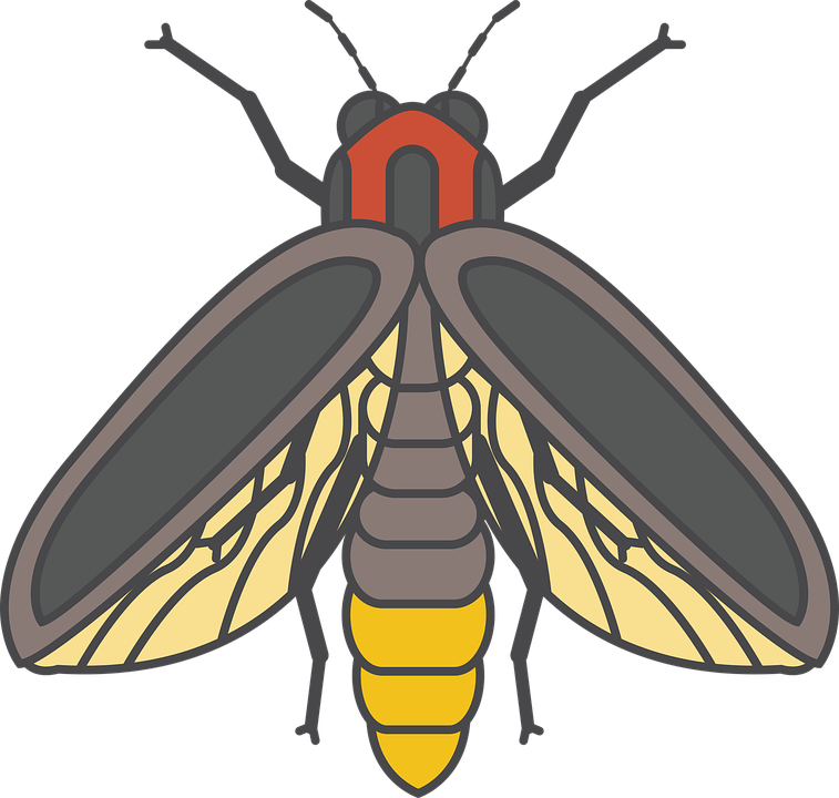 Firefly Cliparts 7, Buy Clip Art - Firefly Bug (757x720)