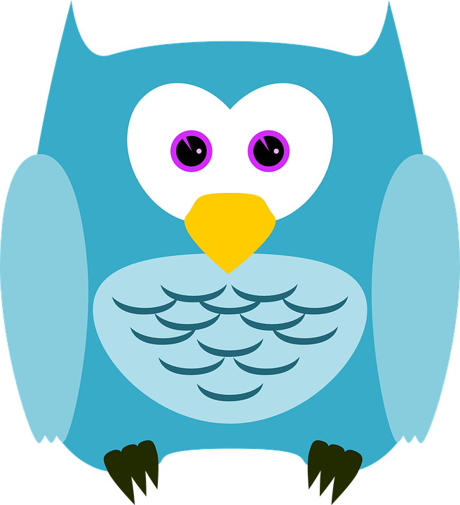 Boy Owl Cliparts 13, Buy Clip Art - Turquoise Owl Round Ornament (656x720)