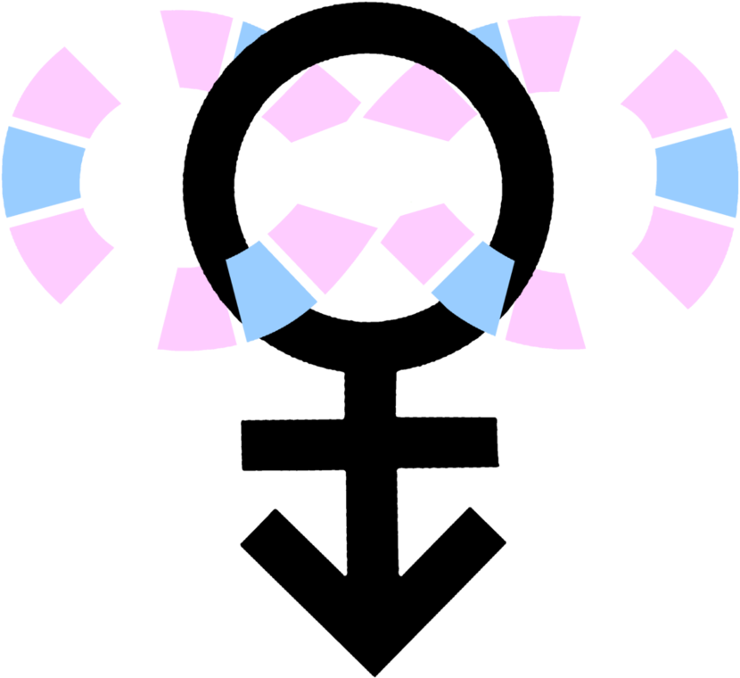 Autism Trans Symbol Segmented By Noeinan - Transsymbol (894x894)