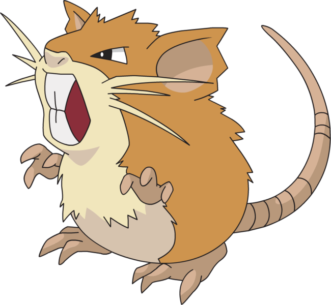 Raticate - Pokemon Raticate (650x600)