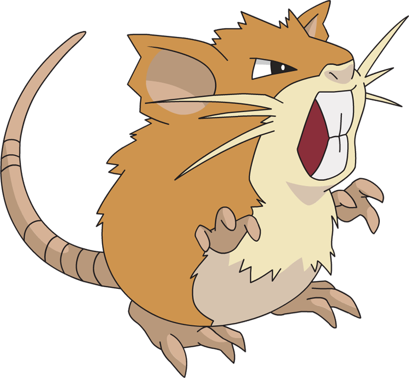 Never Miss A Moment - Pokemon Raticate (800x738)