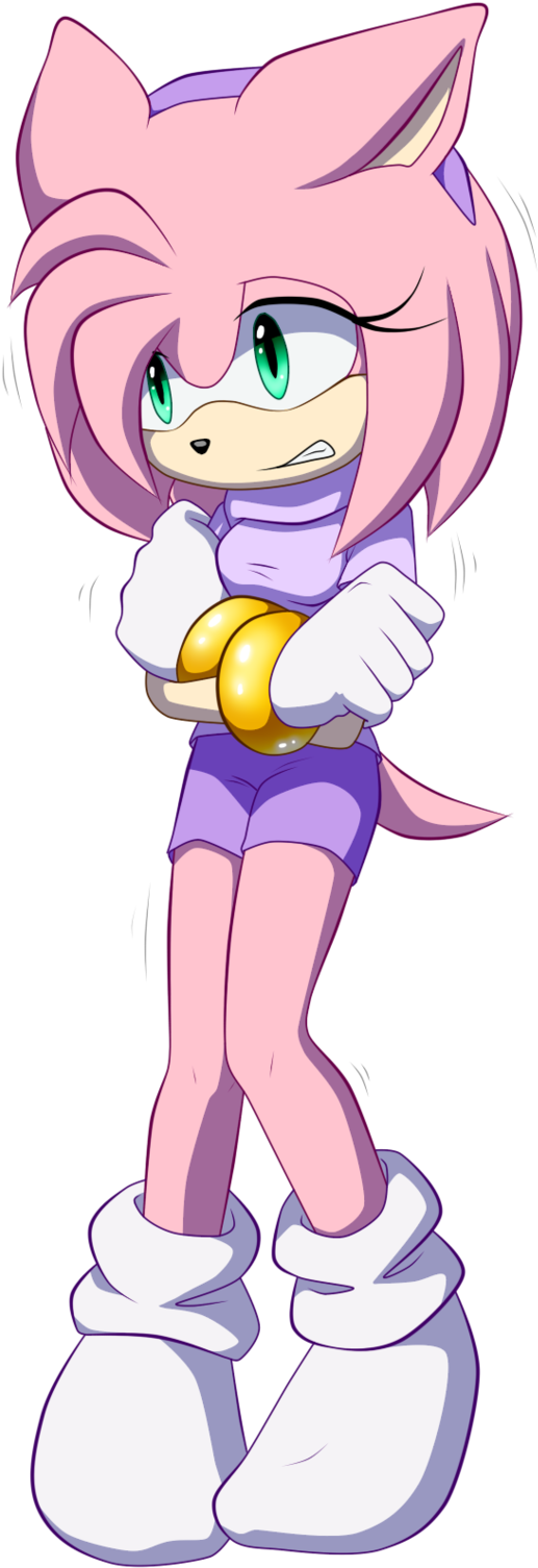 Hola Les Voy A Poner Las Imágenes De Como Se Veían - Amy Rose Myly14 (528x1512)