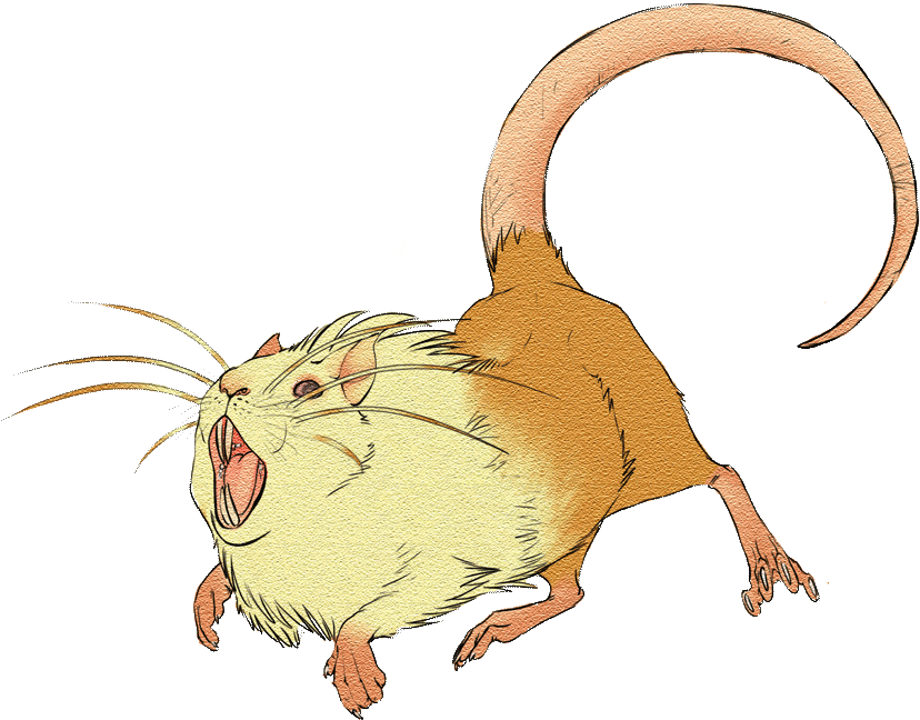 Raticate By Katweet - Naked Mole-rat (840x679)