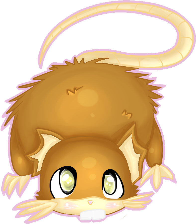 020 By Kiytt Raticate - Raticate Cute (1000x1000)