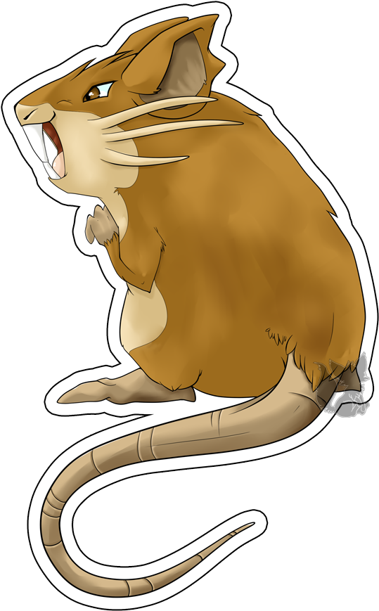 20 Raticate By Zusuriki - Raticate (577x899)