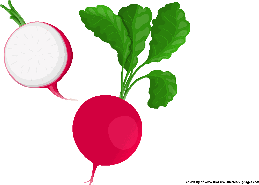Radish Vegetable Food Beetroot Clip Art - Radish Clipart (1280x720)